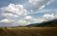 世界板球青训教材地域化翻译与本土化案例分析，板球国际赛事